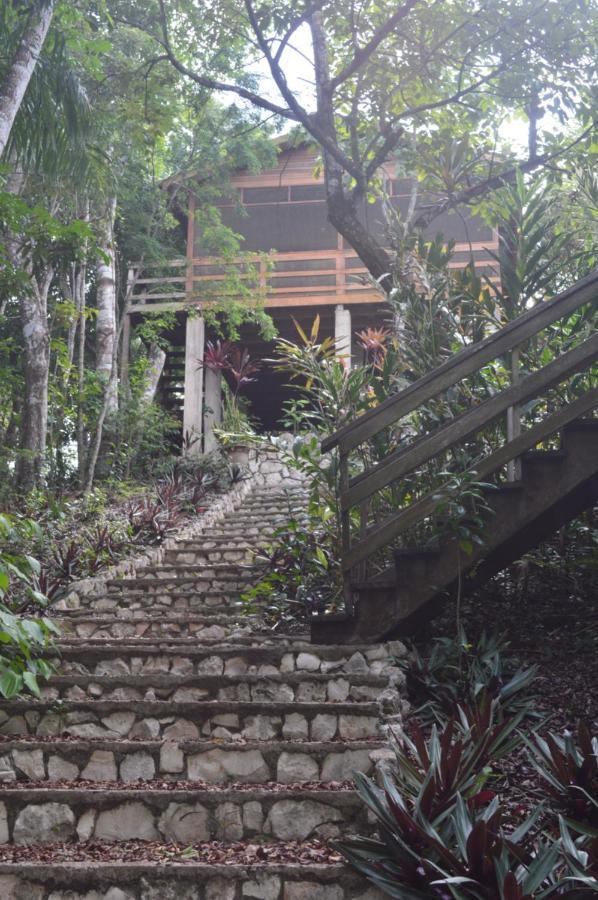 Santa Cruz Cabins Santa Elena Luaran gambar