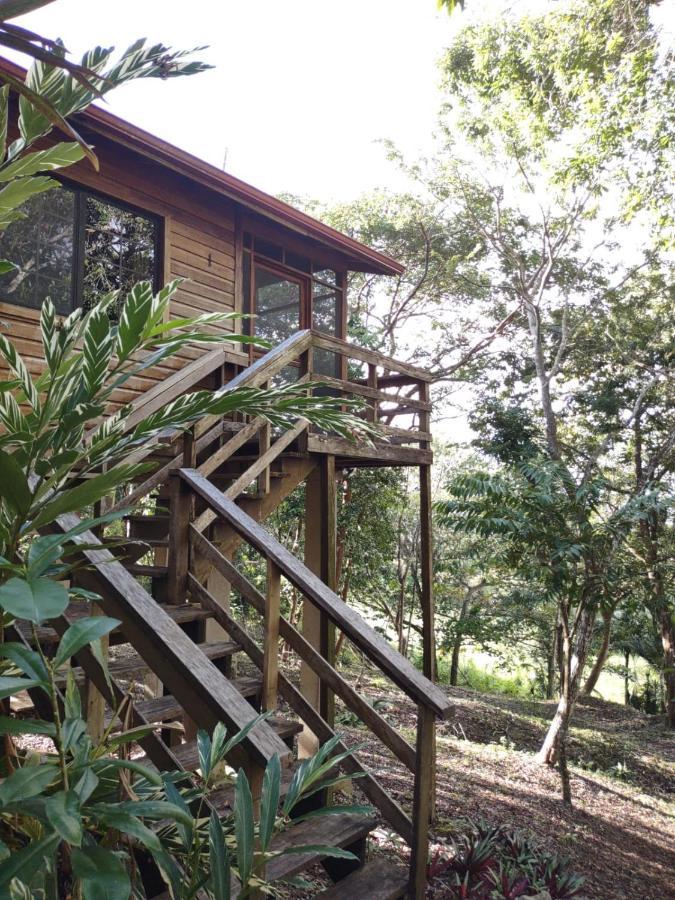 Santa Cruz Cabins Santa Elena Luaran gambar