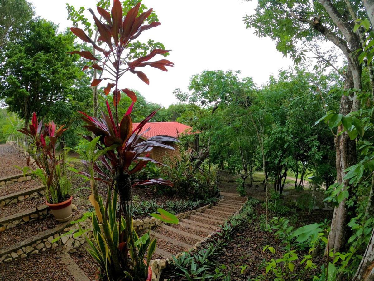Santa Cruz Cabins Santa Elena Luaran gambar